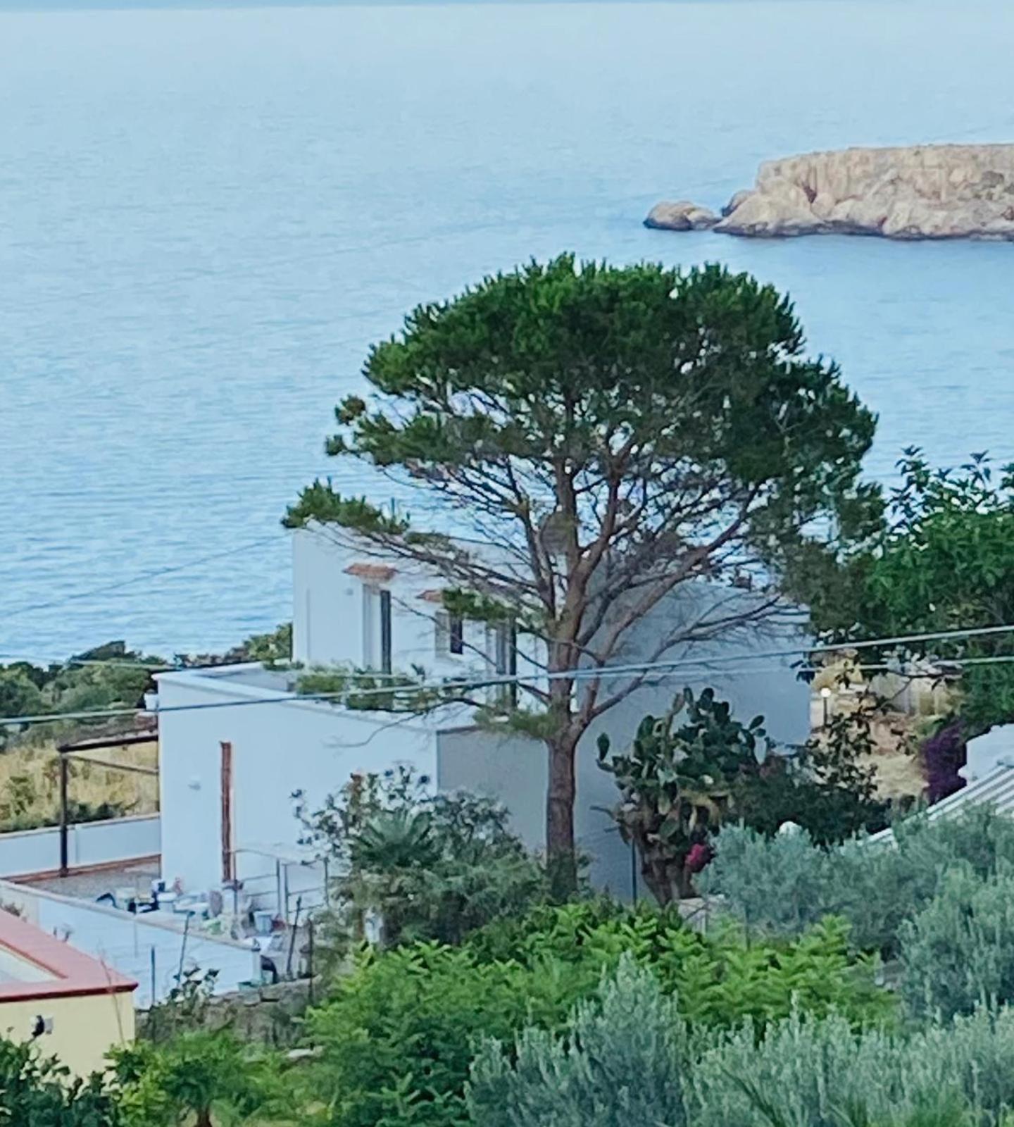 Villa Costanza San Vito Lo Capo Eksteriør billede